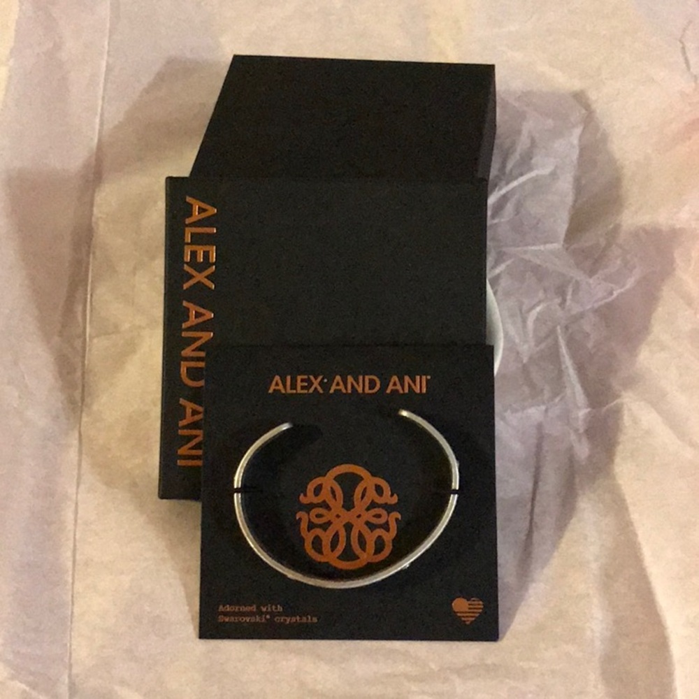 Alex and Ani Path of Life Bracelet